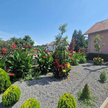 Kopacevo B&B Majhen المظهر الخارجي الصورة